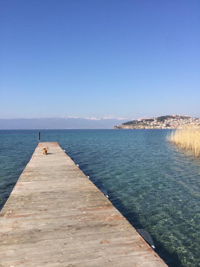 Baron Daire Ohri Dış mekan fotoğraf